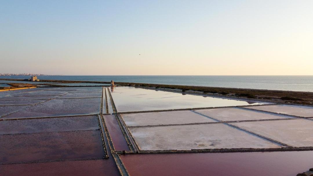 Photo of Others in Marsala