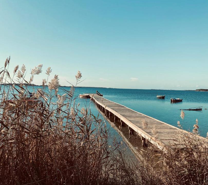 Photo of Others in Marsala