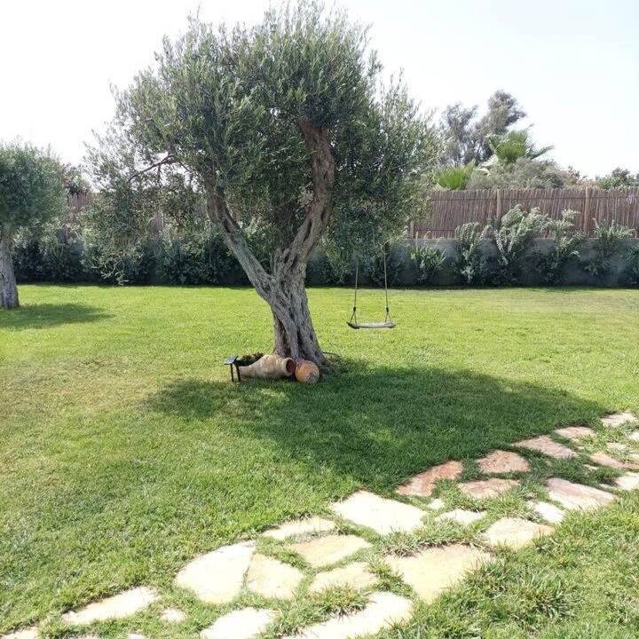 Photo of Outdoor in Marsala
