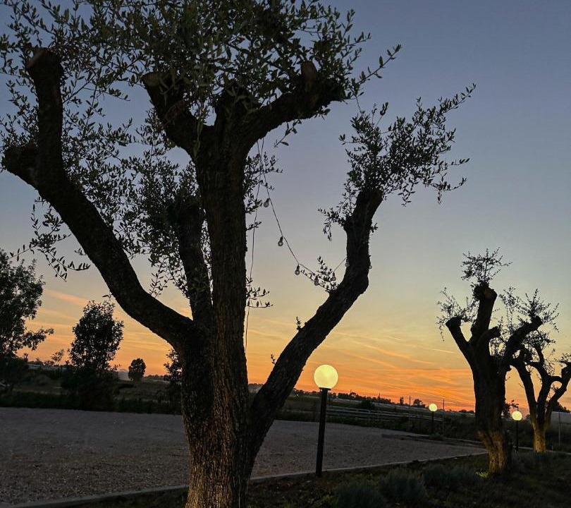 Photo of Others in Terracina