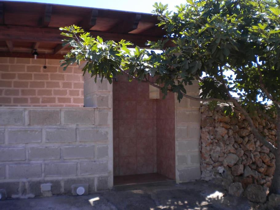 Photo of Others in Favignana