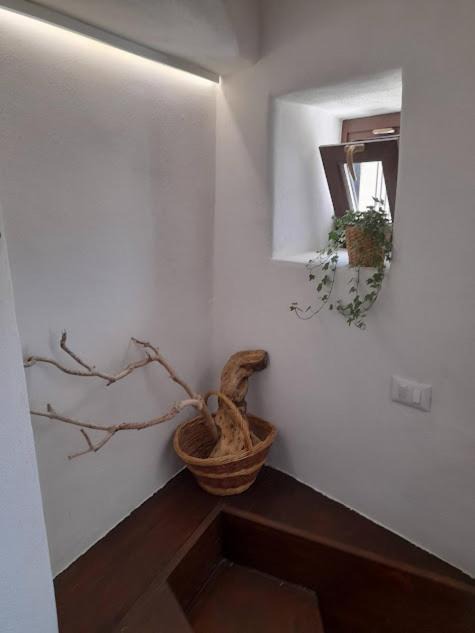 Photo of Others in Montalbano Elicona