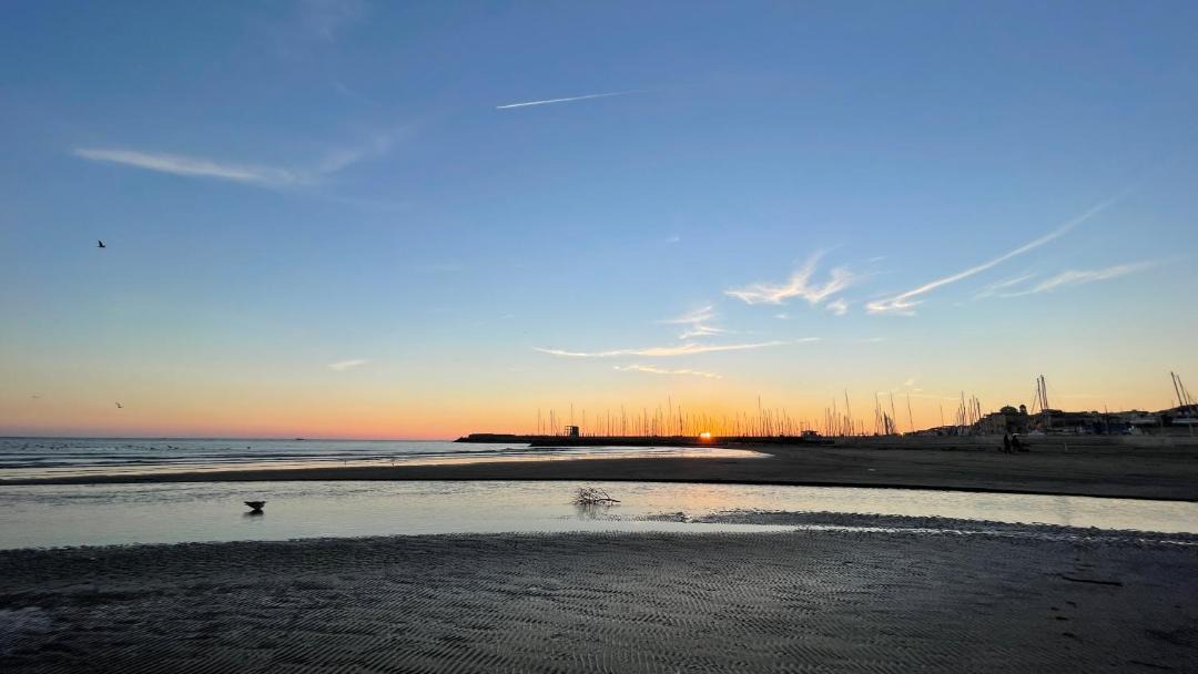 Photo of Others in Nettuno