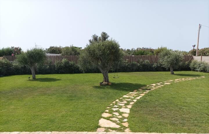 Photo of Others in Marsala