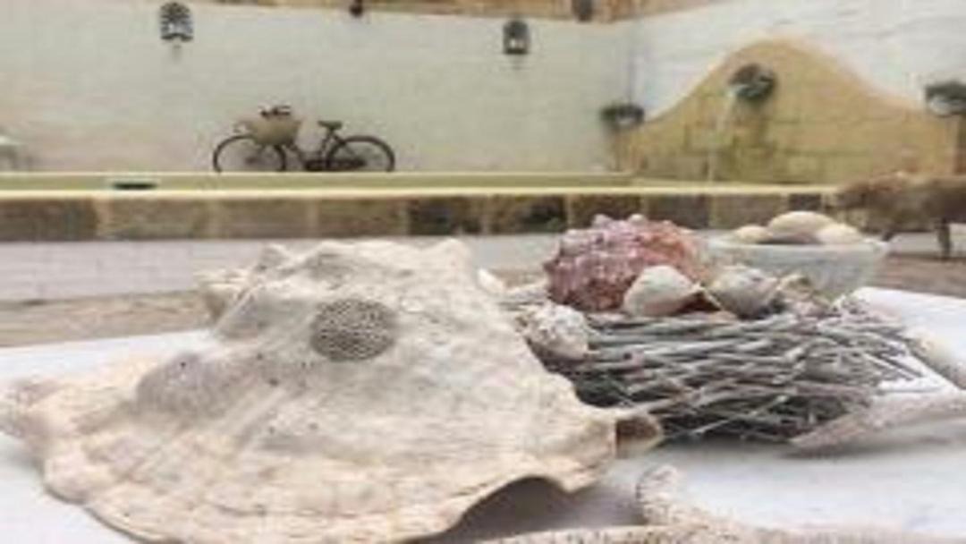 Photo of Others in Marsala