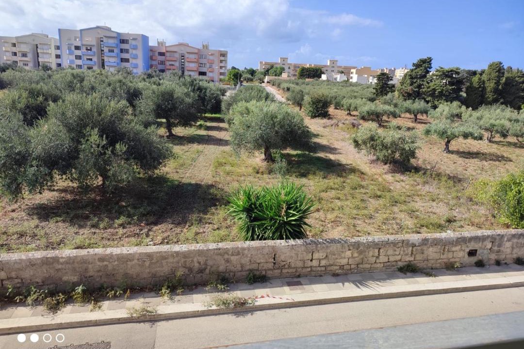 Photo of Others in Trapani