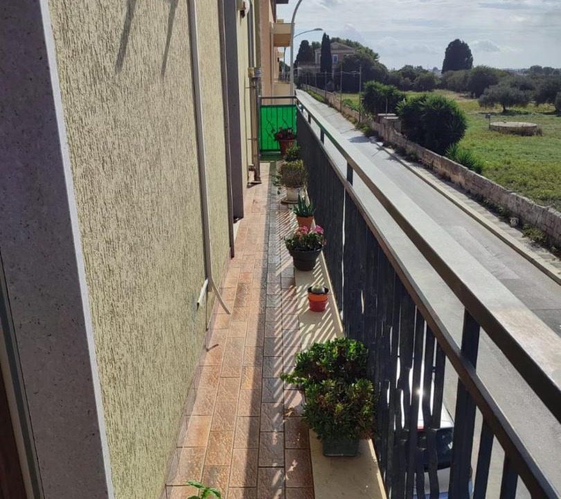Photo of Others in Trapani