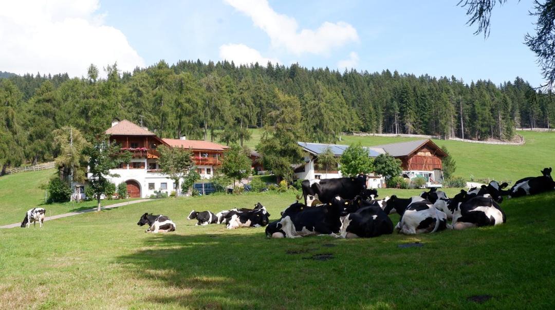 Photo of Others in Collalbo