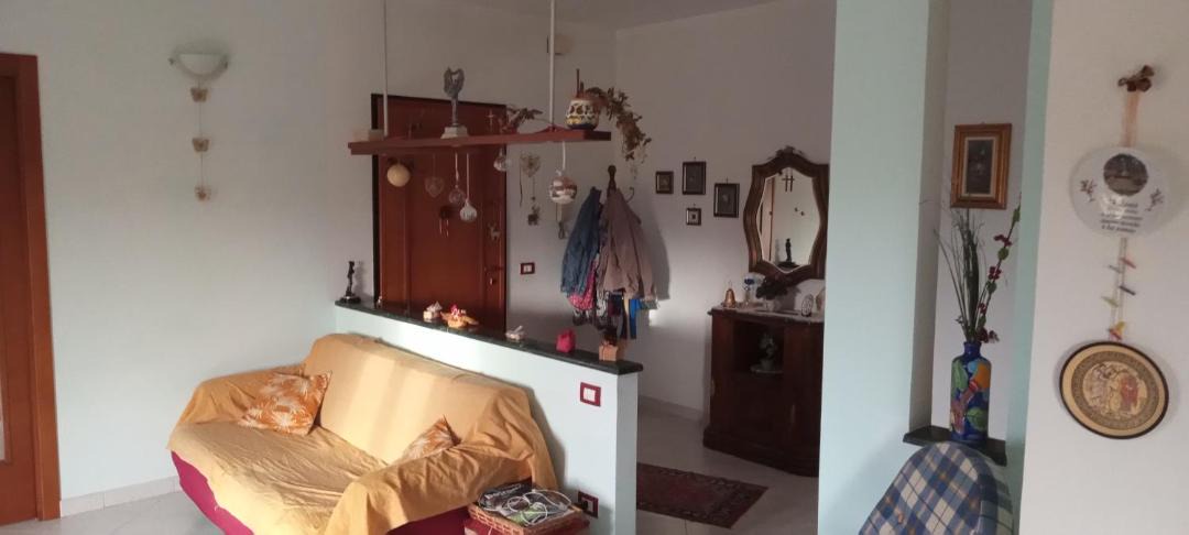 Photo of Others in Trapani