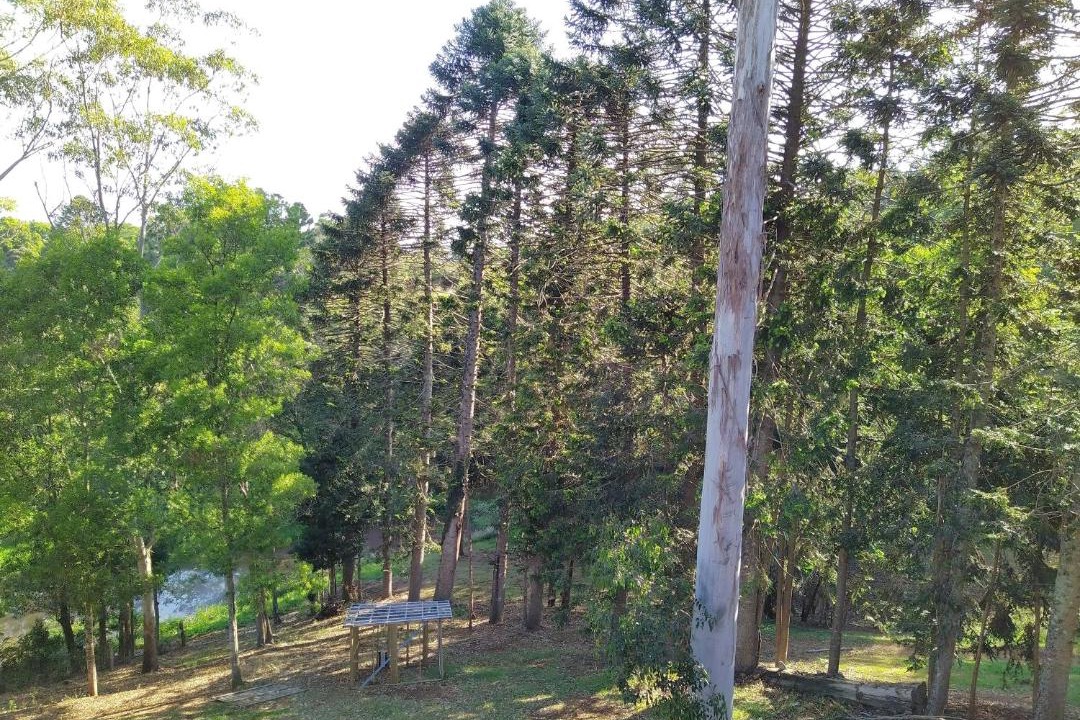 Photo of Outdoor in North Maleny