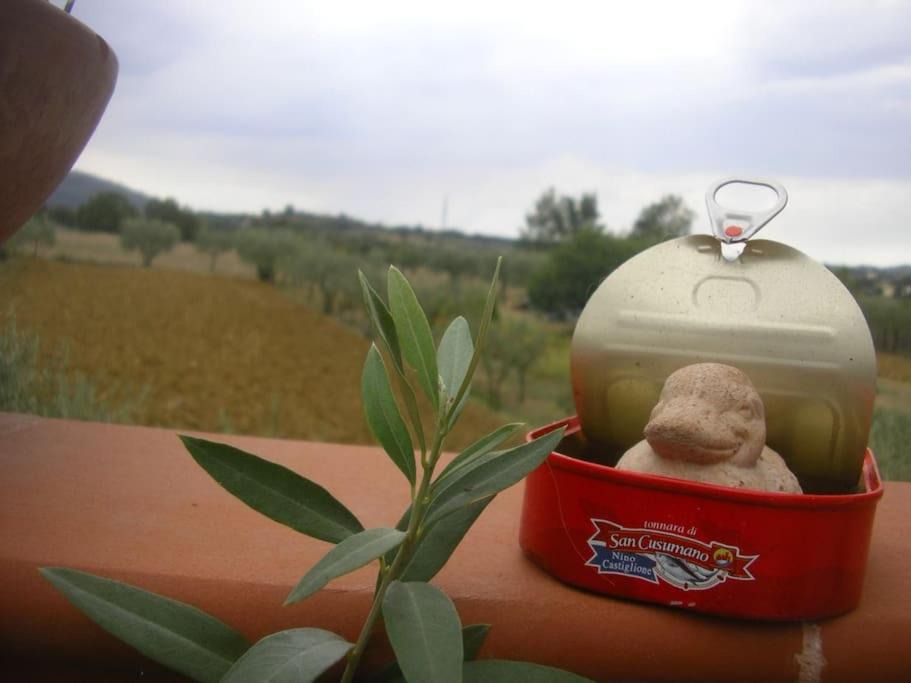 Photo of Others in Pratantico
