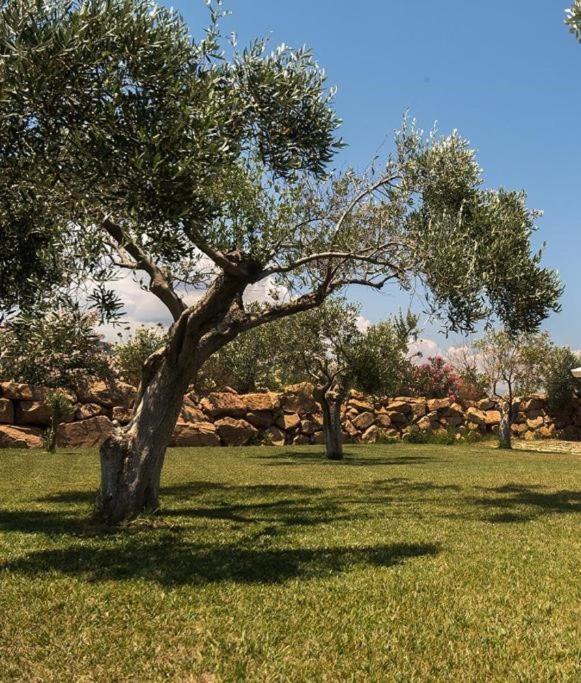 Photo of Others in Capoterra