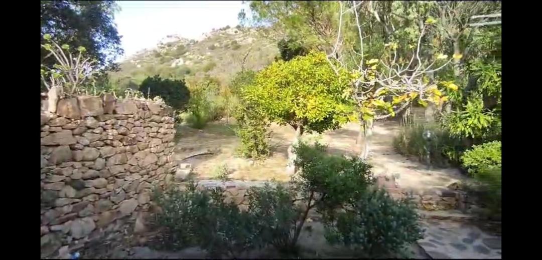 Photo of Others in San Teodoro