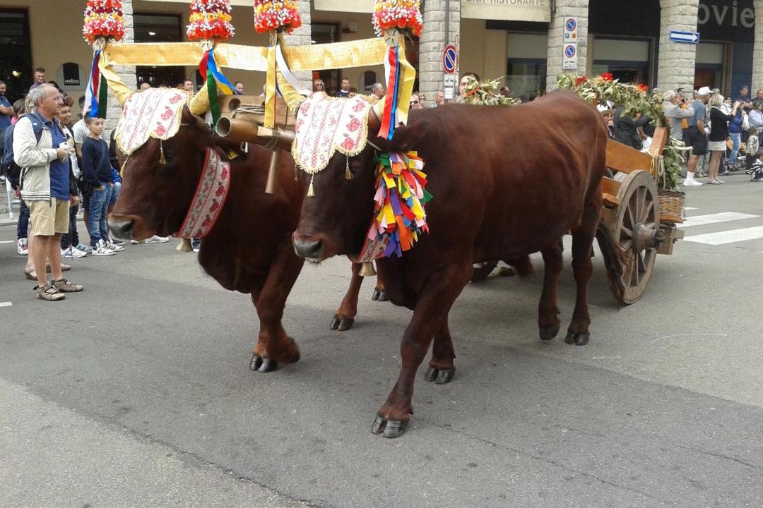 Photo of Others in Aggius
