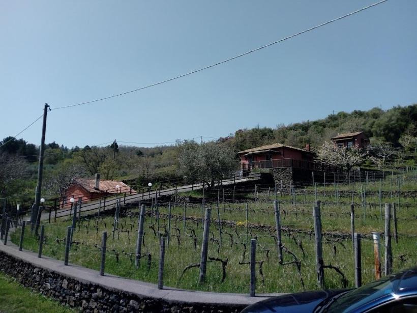 Photo of Others in Rovittello