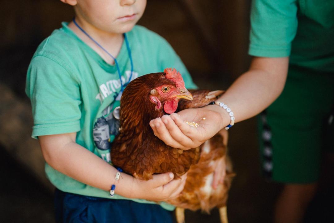 Photo of Others in Rasa