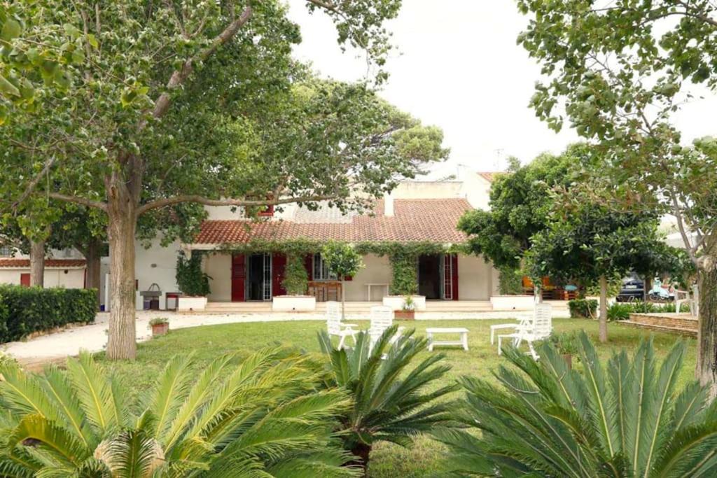 Photo of Others in Marsala