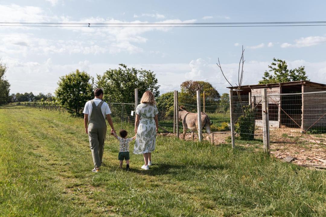 Photo of Others in Fossalta Maggiore