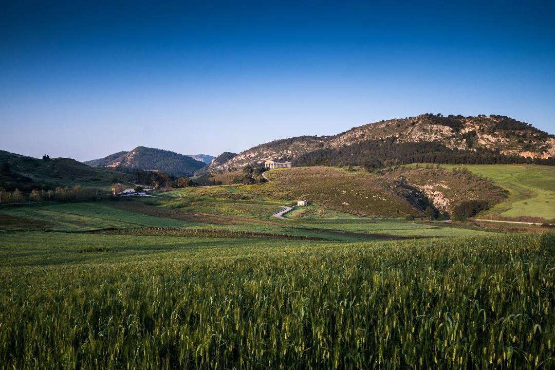 Photo of Others in Calatafimi