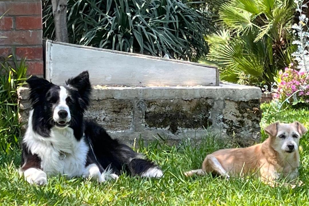 Photo of Others in Agrigento