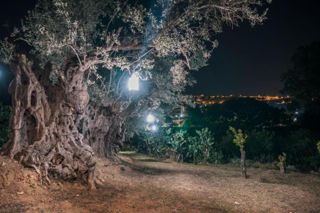 Photo of Others in Agrigento