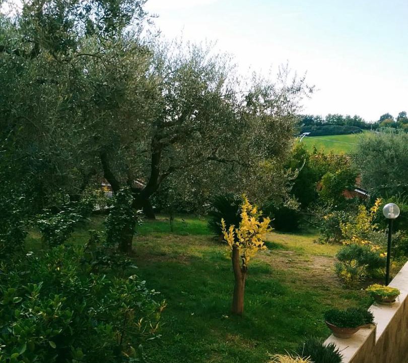 Photo of Others in Guidonia Montecelio