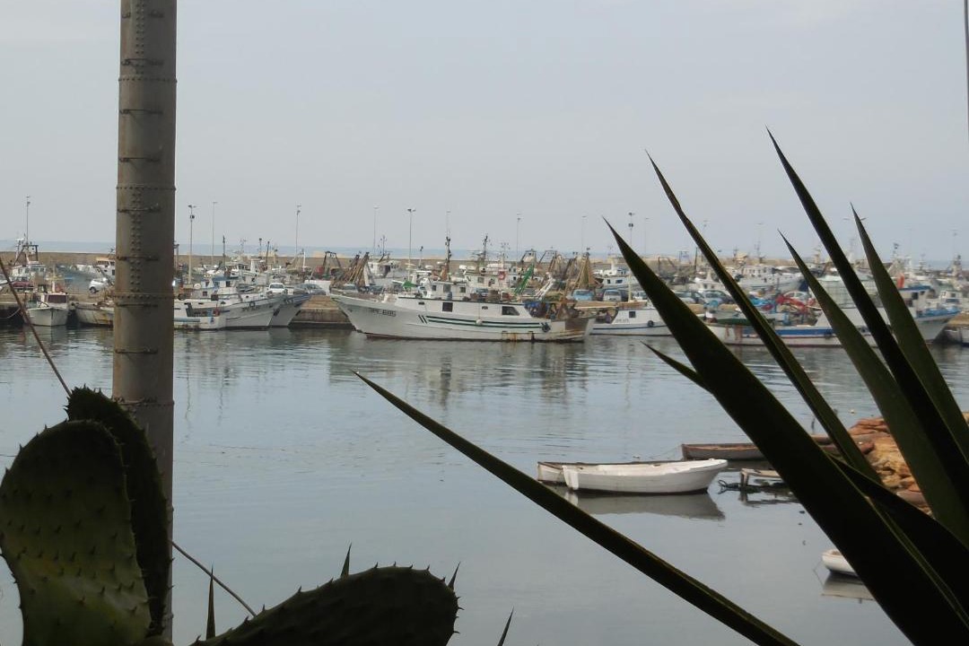 Photo of Others in Sciacca