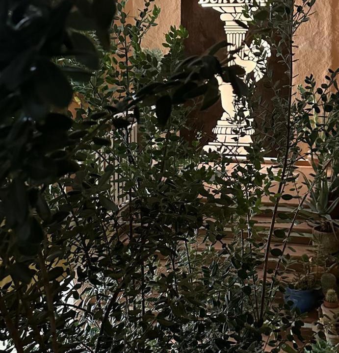 Photo of Others in Cammarata