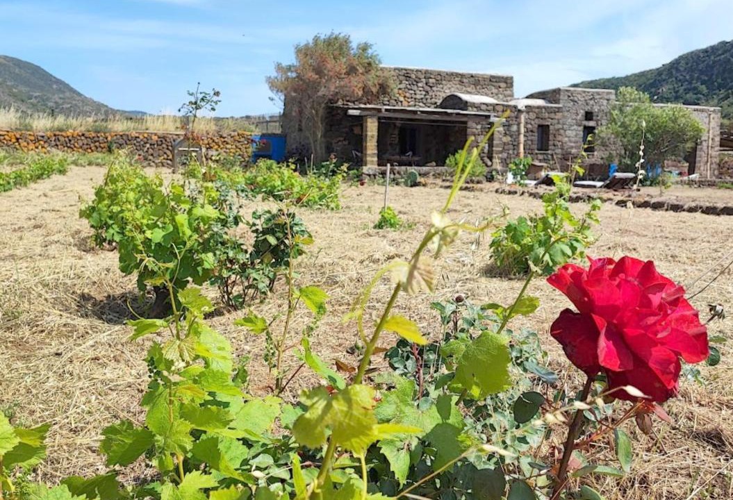 Photo of Others in Pantelleria