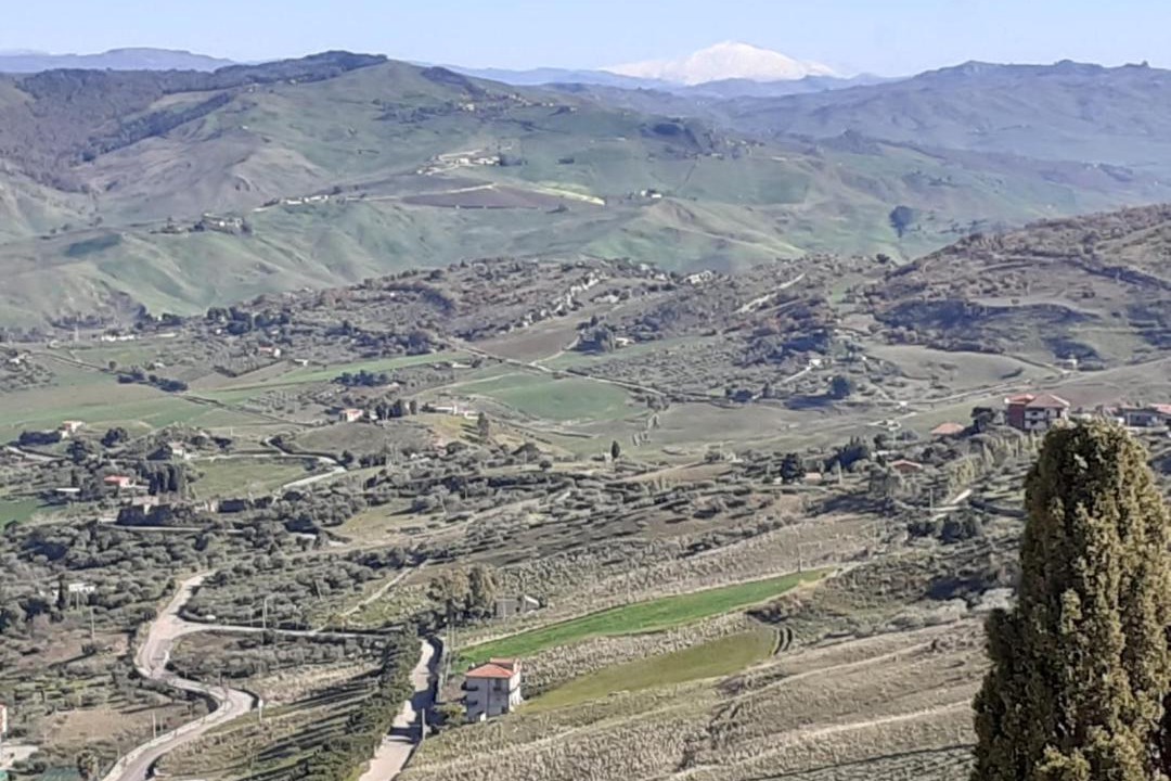 Photo of Others in Cammarata
