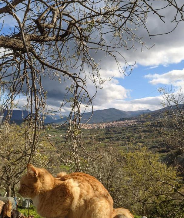 Photo of Others in Castelbuono