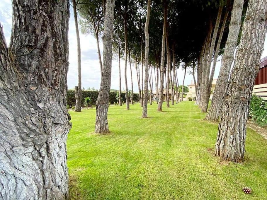 Photo of Others in Canicatti