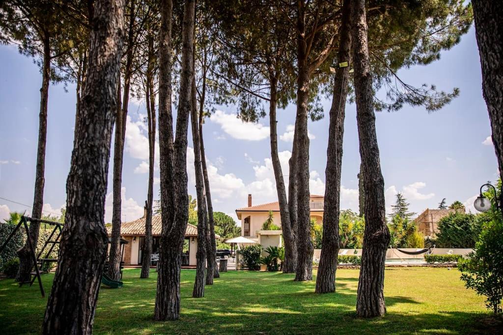 Photo of Others in Canicatti