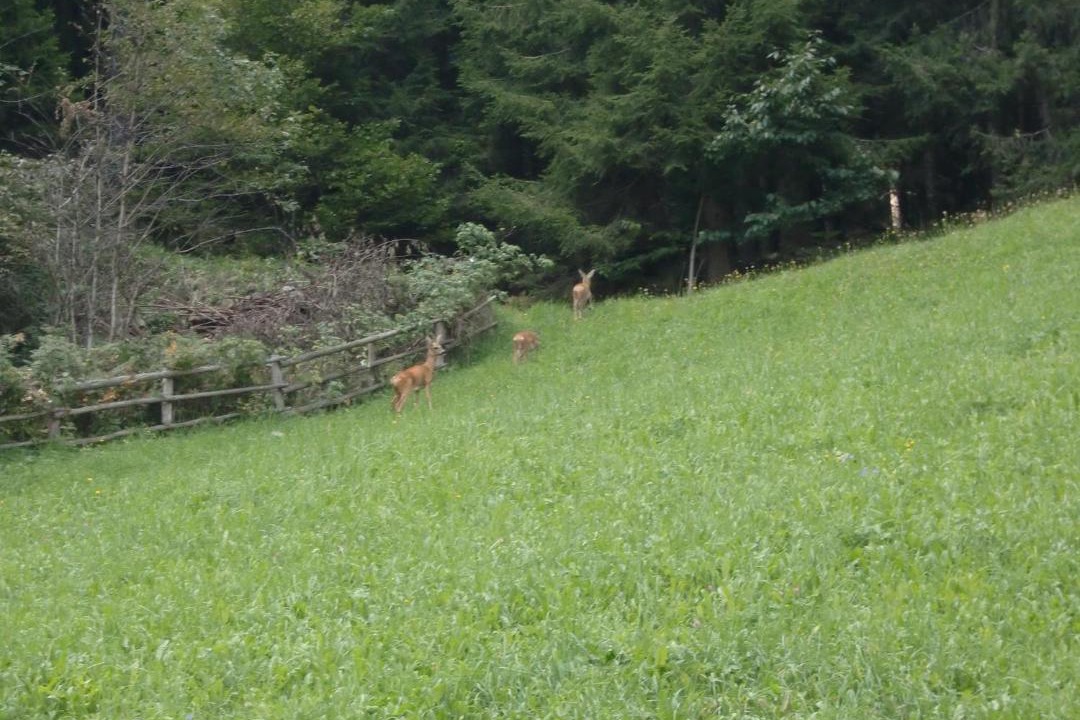 Photo of Others in Campo Tures