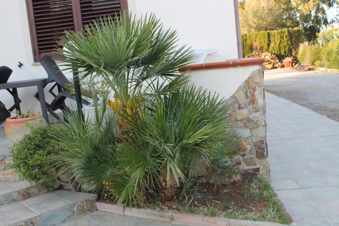 Photo of Others in Alghero