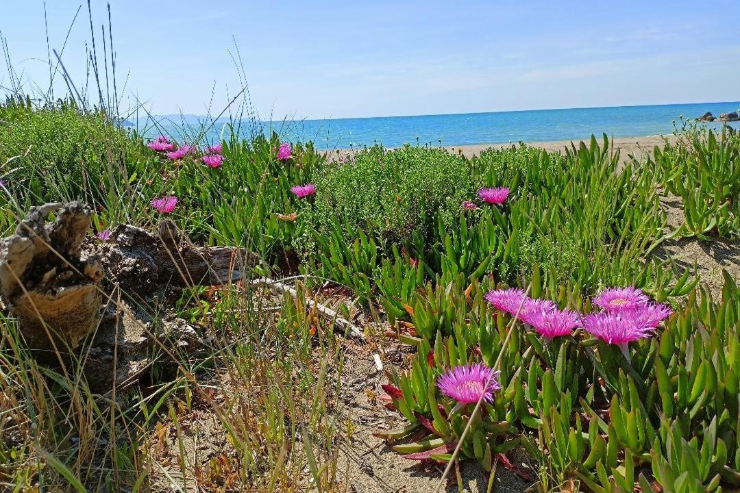 Photo of Outdoor in Orbetello