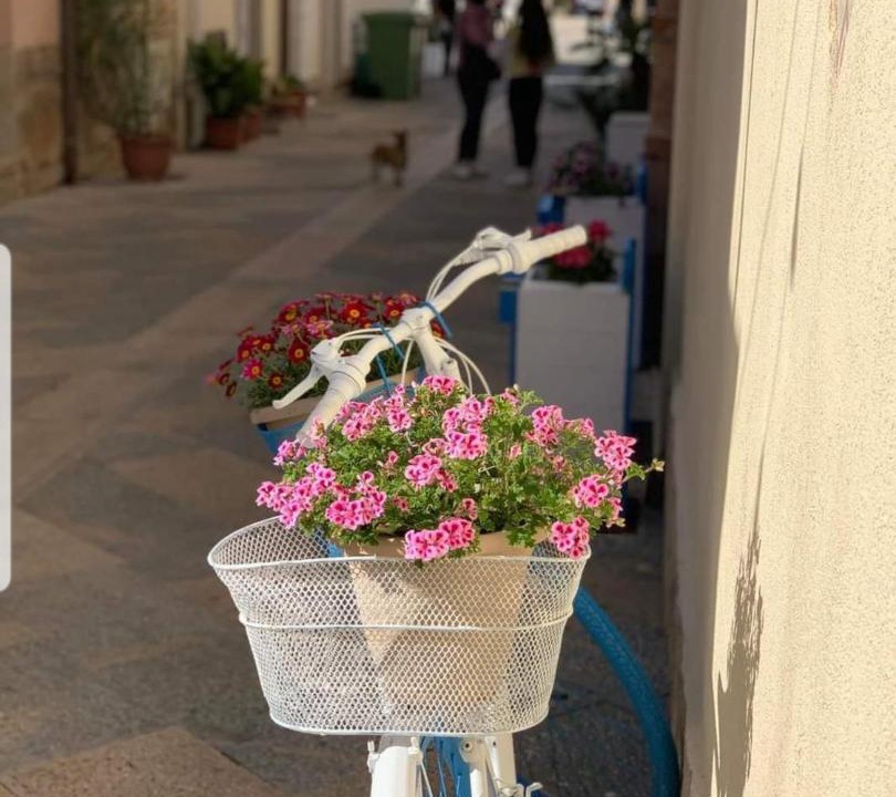 Photo of Others in San Vito Lo Capo