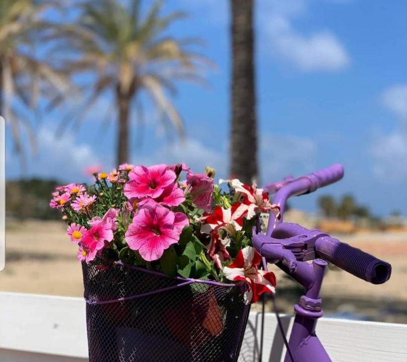 Photo of Others in San Vito Lo Capo