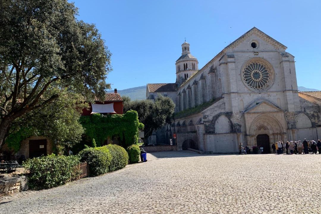 Photo of Others in Abbazia di Fossanova