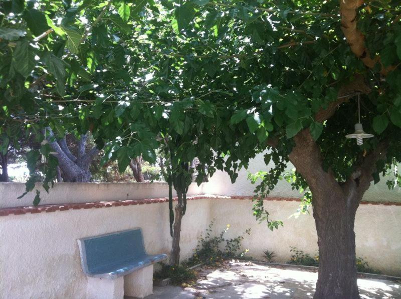 Photo of Others in Marsala