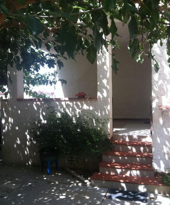 Photo of Buildings in Marsala