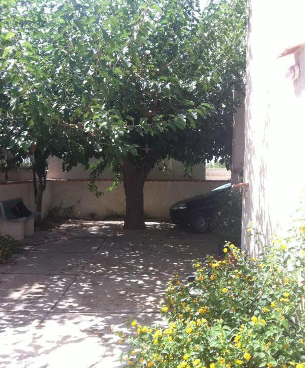 Photo of Others in Marsala