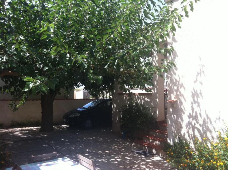 Photo of Others in Marsala