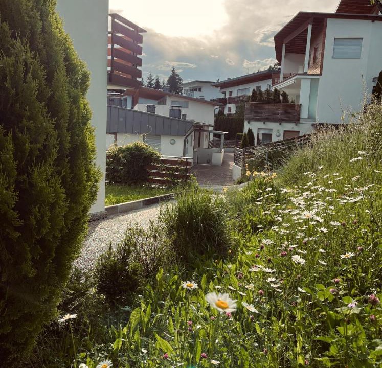 Photo of Others in Perca