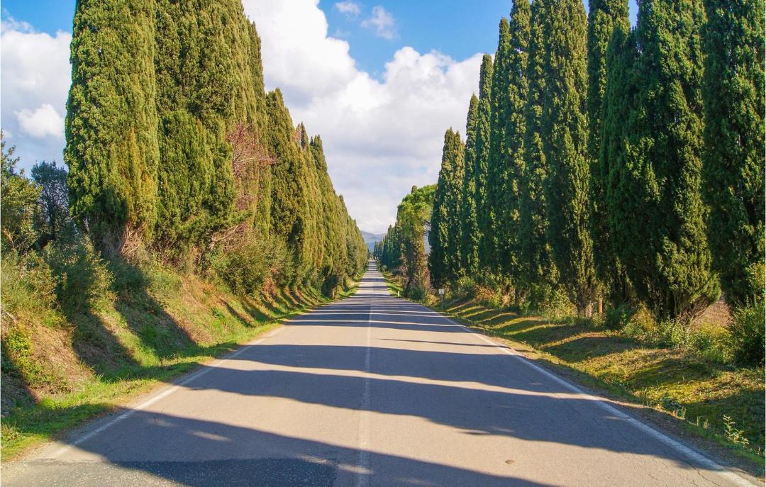 Photo of Outdoor in San Vincenzo