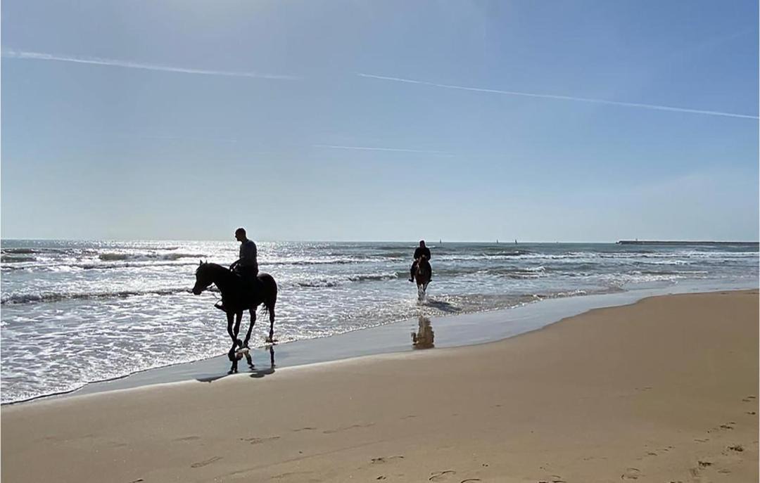 Photo of Others in San Vincenzo