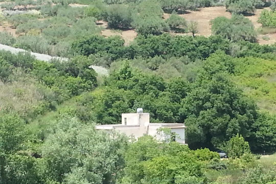 Photo of Others in Calatafimi