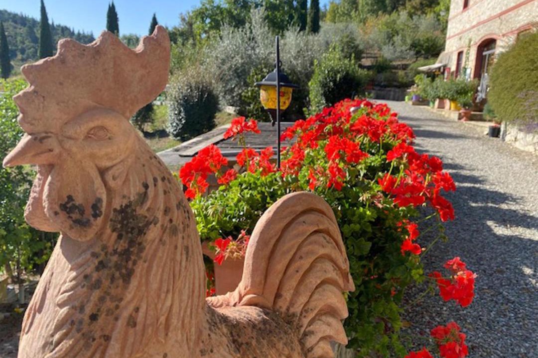 Photo of Others in Castellina in Chianti