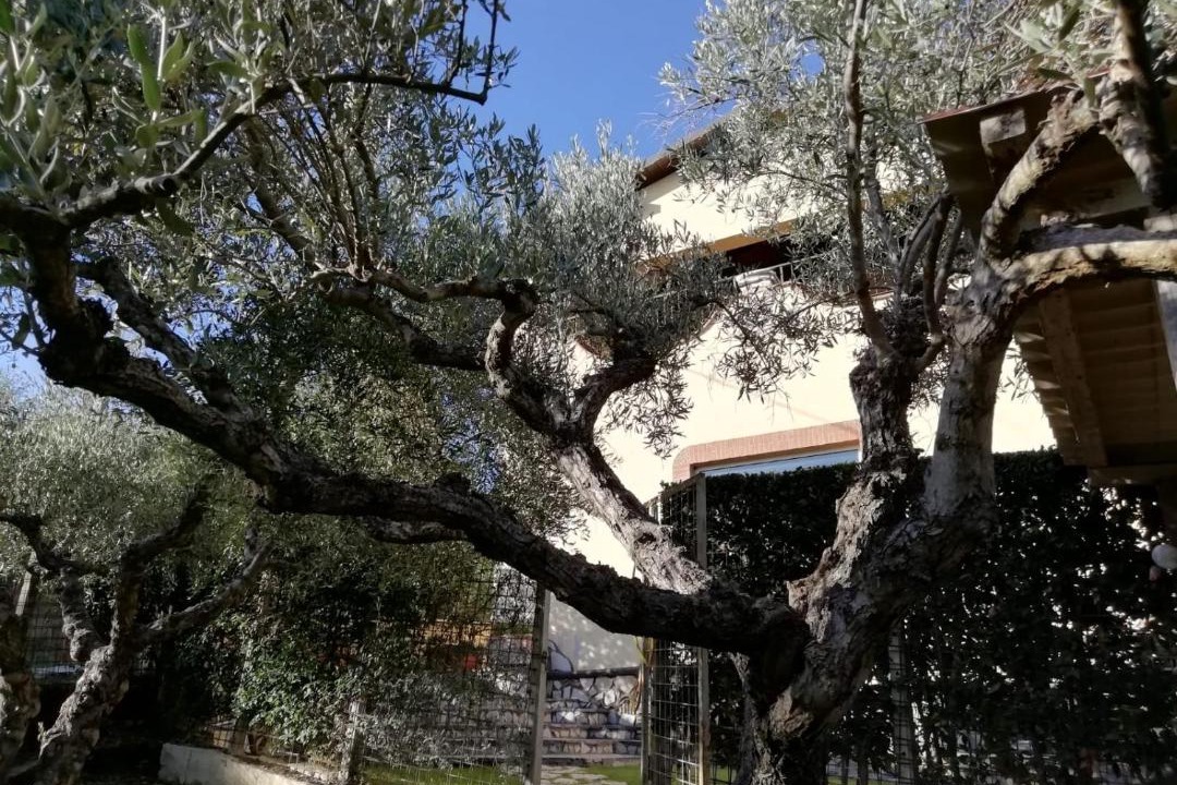 Photo of Buildings in Fonte Nuova
