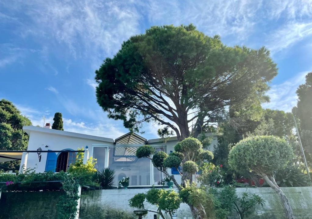 Photo of Buildings in Province of Messina